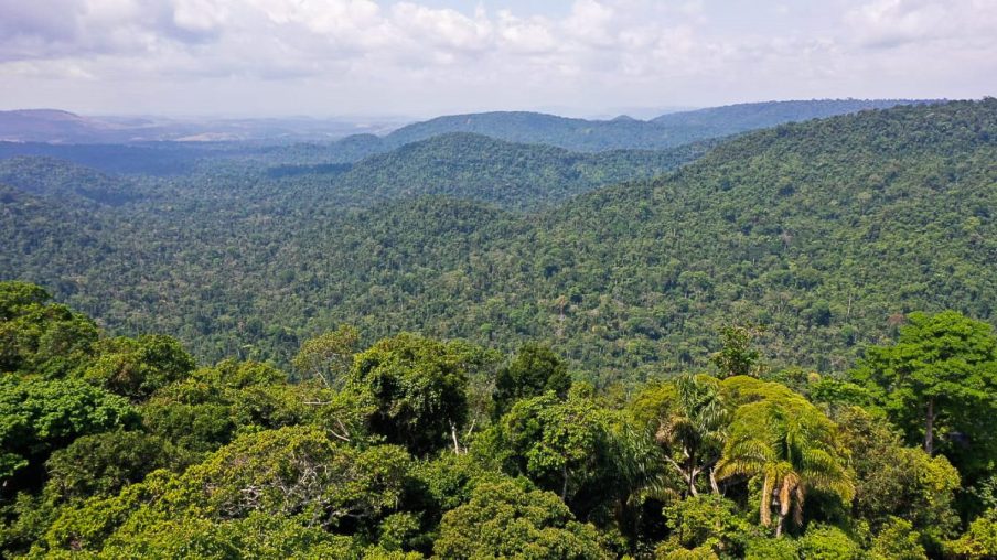 Emissão de títulos verdes aumenta 700% em dois anos