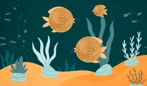 - Ilustração: Renata Miwa