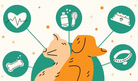 - Ilustração: Renata Miwa
