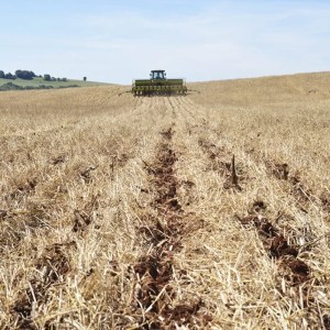 Mercado de carbono voluntário tem potencial de forte avanço no Brasil, diz estudo
