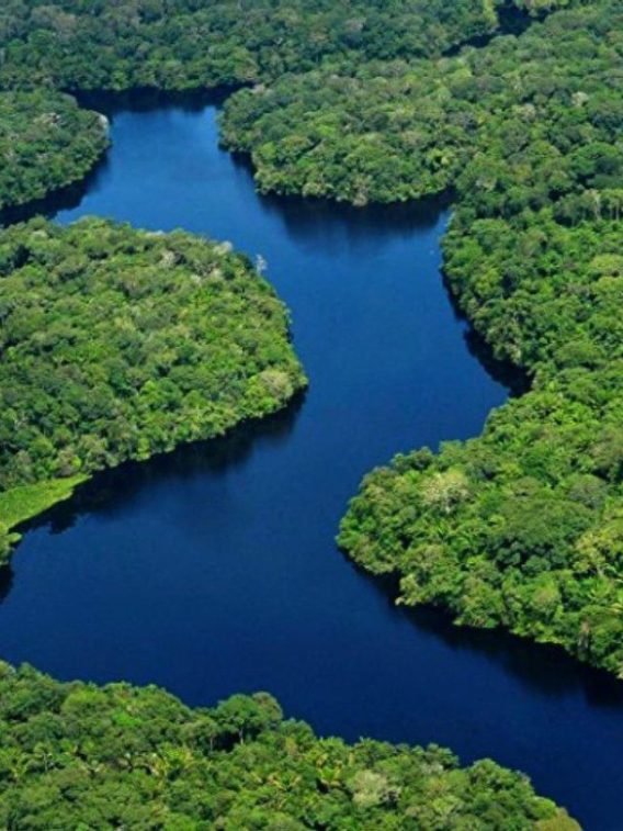 Vista aérea do Rio Amazonas na floresta Amazônica. Foto é da Secretaria de Estado de Ciência, Tecnologia e Educação Profissional e Tecnológica do Pará.