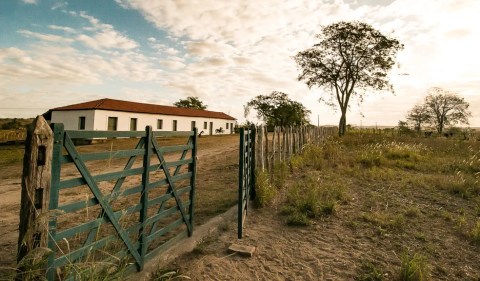 A fazenda em que José Lins do Rego nasceu, que agora abastece a chef Ana Clóris — Foto: Salieri Lima/Divulgação