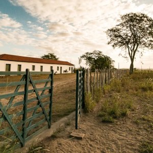 Por que chefs famosos estão investindo em fazendas próprias