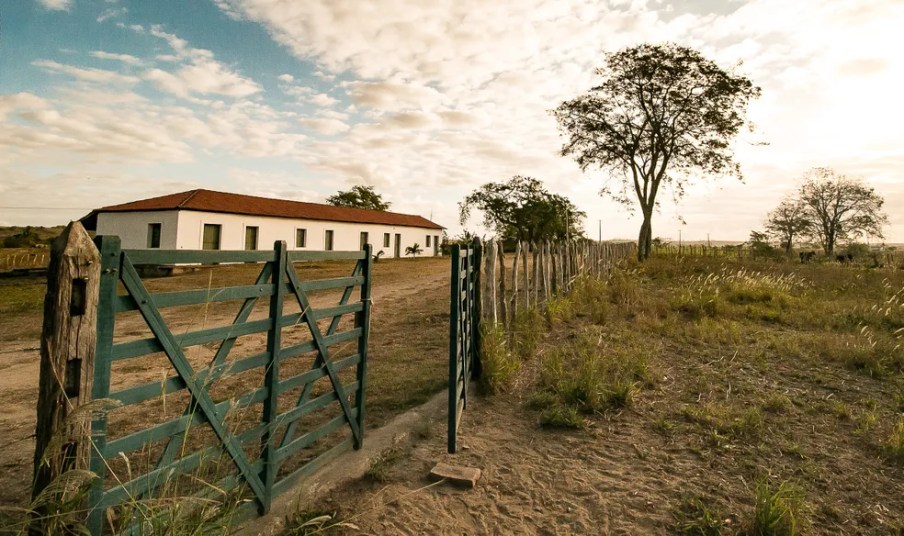 Por que chefs famosos estão investindo em fazendas próprias