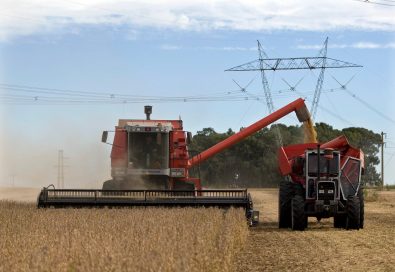 Calendário econômico: IBC-Br calibra expectativas para crescimento do PIB no 1º trimestre
