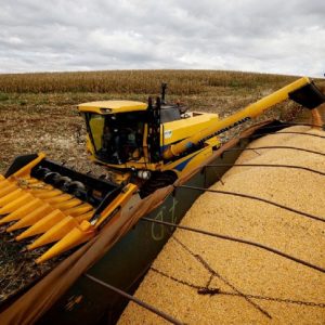 Fiagros crescem, mas casos de inadimplência acendem luz amarela