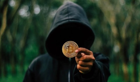 A verdadeira identidade de Satoshi Nakamoto nunca foi revelada. Foto: Pixabay