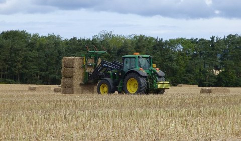 Se você pensa em investir no agronegócio, é bom conhecer alguns produtos que tendem a performar melhor em 2024 - (Foto: Wikimedia Commons)