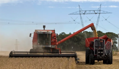 Emissão de novos certificados de recebíveis para financiar o agronegócio caiu 83% em fevereiro, em comparação com os 6 meses anteriores. Foto: Enrique Marcian/Reuters