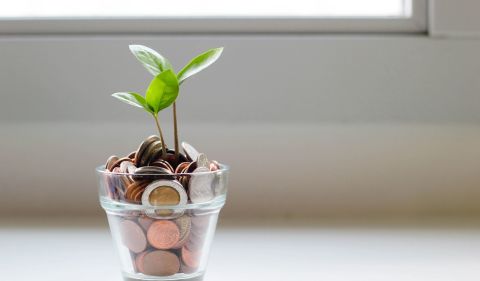 Queda da Selic afetou a rentabilidade de alguns dos principais produtos de renda fixa. Foto: Freepik