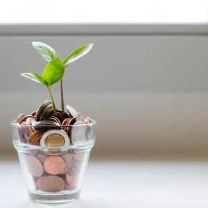 Bote com moedas e uma pequena planta