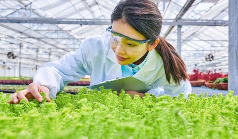 Entre os melhores setores do agronegócio para investir esse ano estão a bioenergia de etanol de milho, commodities, crédito rural, sustentabilidade e tecnologia - (Foto: zorazhuang/Getty Images)