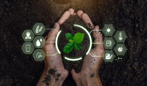 A tokenização de commodities é uma das tecnologias no agronegócio que pode ajudar muito o profissional rural - (Foto: Getty Images)