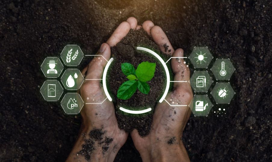 Imagem para matéria sobre tecnologia no agronegócio em que aparece uma mão segurando uma muda de planta. Em volta, vários ícones que representam grãos, água, solo, luz etc.