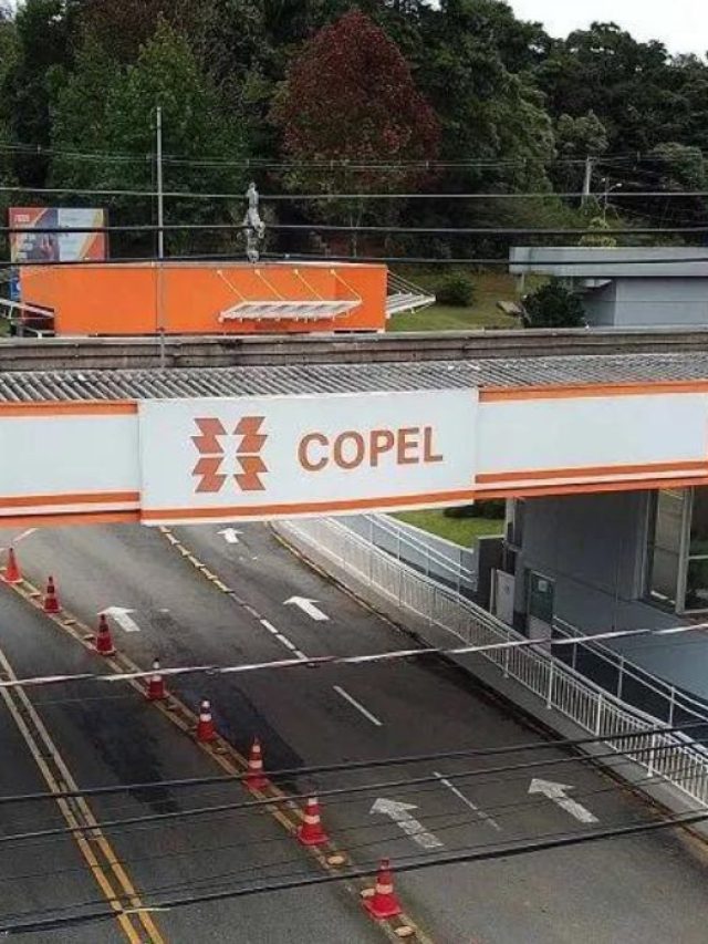 Victor Adler: o bilionário que investiu R$ 7 bi na Copel