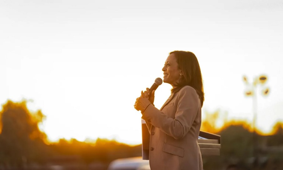 Foto de uma mulher com cabelos castanhos e vestindo um blazer marrom. Ele está de lado, em uma paisagem com um pôr do sol ao fundo.