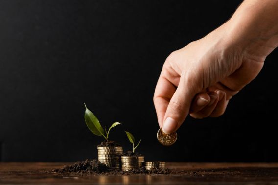 Foto de uma mão depositando moedas em três pilhas. Nelas há uma plantinha crescendo.