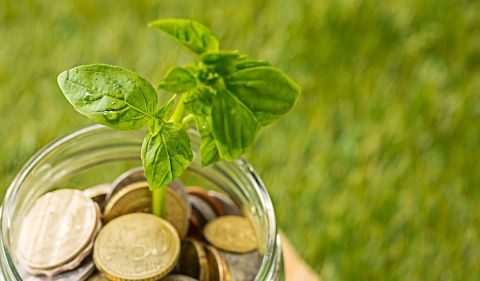 O Friagro Reorg será criado pelo governo federal para ajudar a reduzir as dívidas dos produtores rurais - (Foto: Freepik)