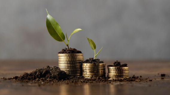 Foto de três pilhas de moedas, cada uma mais alta que a outra. Nelas, também há plantinhas crescendo.