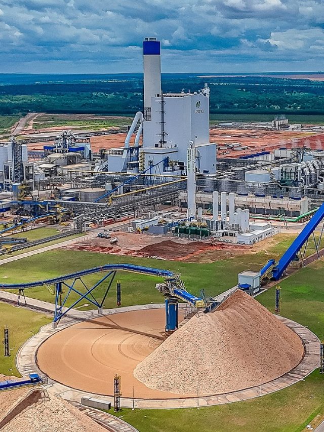 Suzano registra lucro, mas não empolga bancos