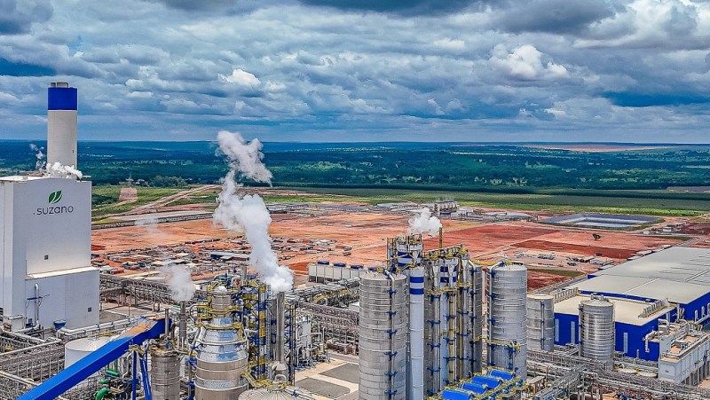 Suzano: lucro de R$ 6 bi não empolga bancos, que mantêm compra, mas falam em decepção