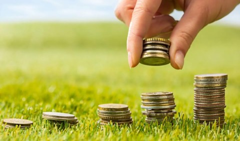 Além de conhecer bons Fiagros para 2025, é importante saber os prós e contras de investir nesse fundo este ano - (Foto: Freepik)