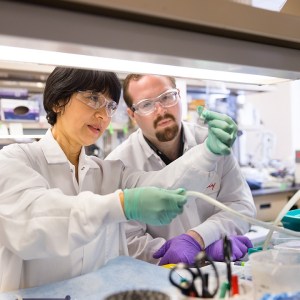 Eli Lilly aponta que seu medicamento para obesidade superou Wegovy em teste
