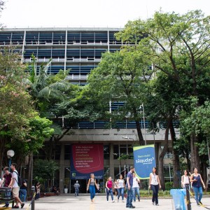 Ânima (ANIM3) dispara na bolsa após balanço do 1º trimestre superar expectativas